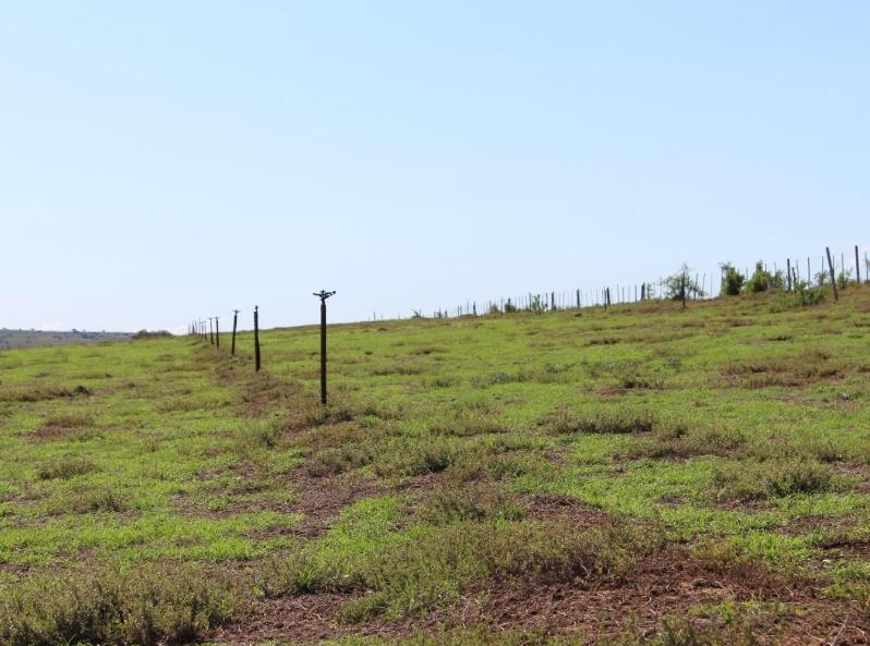 4 Bedroom Property for Sale in Grahamstown Eastern Cape